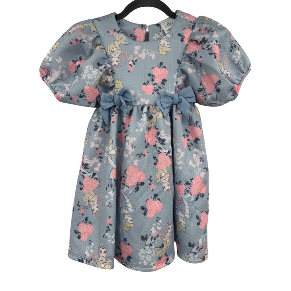 Disney Princess Girl Dress Size 6 NWT Blue Pink Floral Textured Puff Sleeve Bow